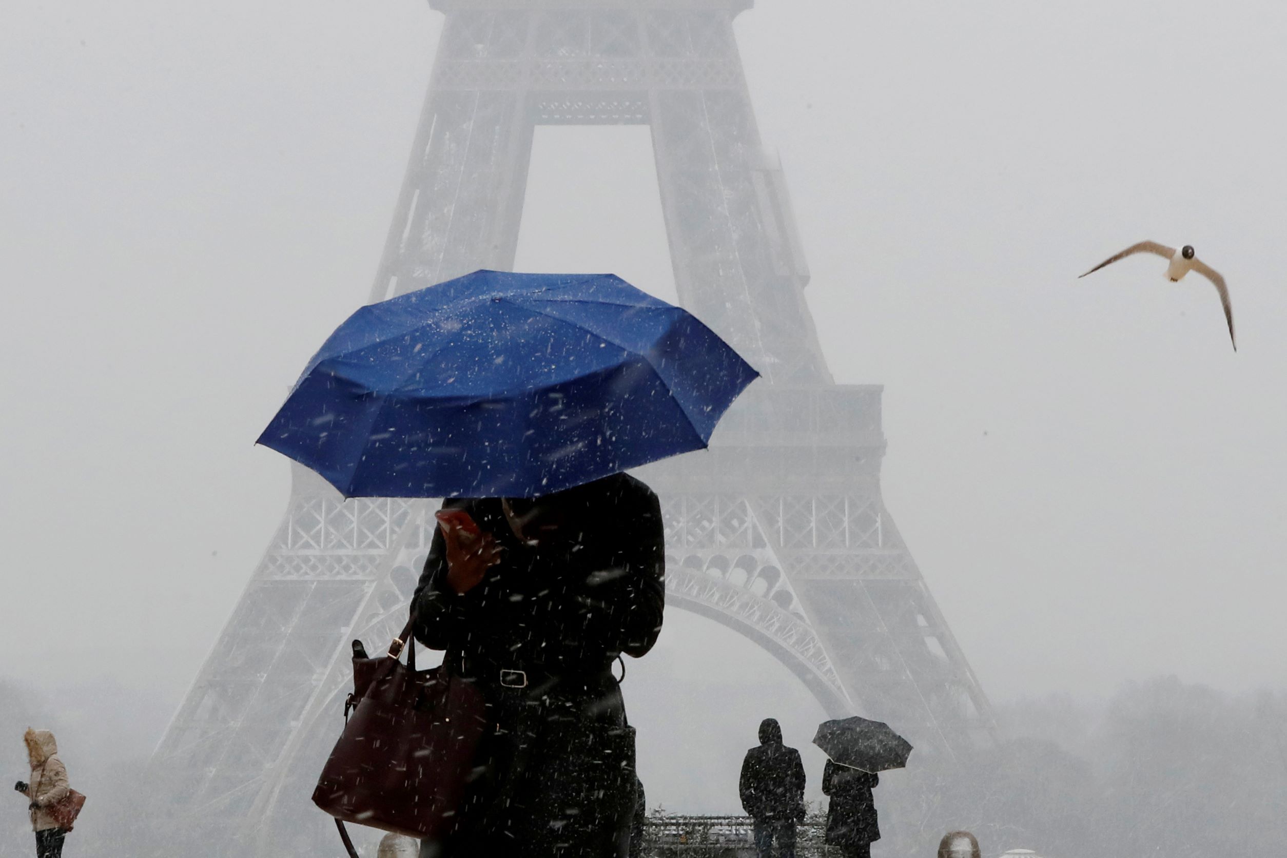 A person holding an umbrella walks towards the Eiffel Tower
