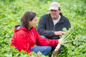 A woman and man crouch down in a field of cover crops and examine the plants.