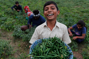 A boy shows freshly plucked chillies from his field on the outskirts of Prayagraj, in the northern Indian state of Uttar Pradesh on November 21, 2021.