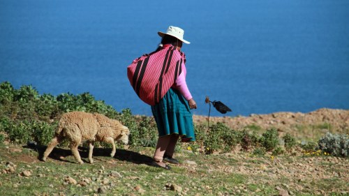 A woman walks along a cliff with a sheep following behind her.