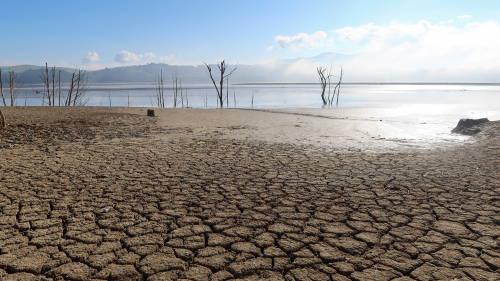 A view of a cracked ground near the Sidi El Barrak dam with depleted levels of water, in Nafza, west of the capital Tunis, Tunisia, January 7, 2023.