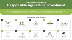 A graphic showing the Regional Guidelines on Responsible Agricultural Investment