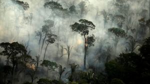 Smoke billows from a fire in an area of the Amazon rainforest near Porto Velho, Rondonia State, Brazil