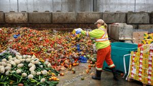 A worker dumps pre-consumer food waste 