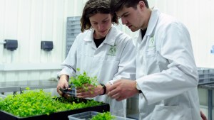 Two young people examine a plant in a lab.