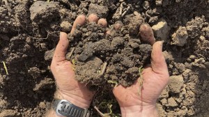 Aaron Nichols holds rich soil on his farm on March 17, 2023, in the unincorporated community of Helvetia, Oregon.