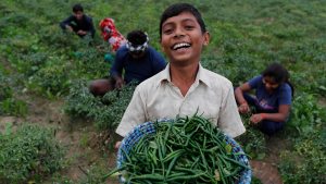 A boy shows freshly plucked chillies from his field on the outskirts of Prayagraj, in the northern Indian state of Uttar Pradesh on November 21, 2021.