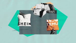 Graphic of Shein and Temu products.
